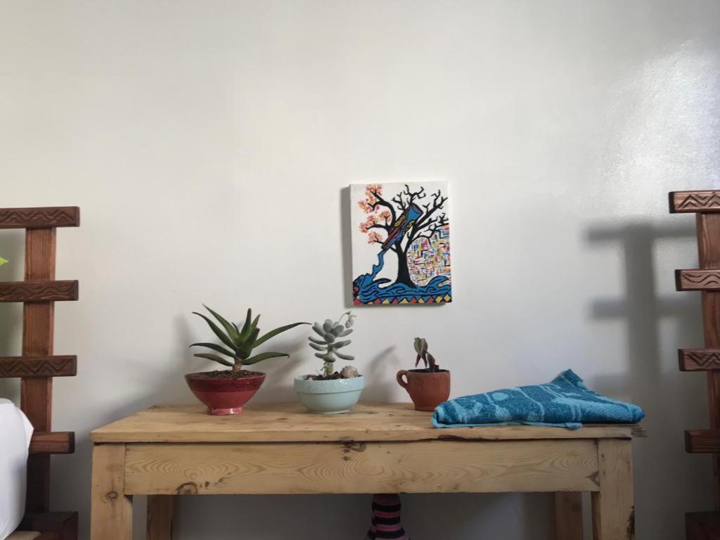 Binic Surf House Bed and Breakfast Taghazout Esterno foto