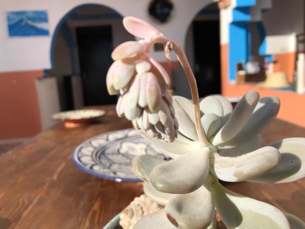 Binic Surf House Bed and Breakfast Taghazout Esterno foto