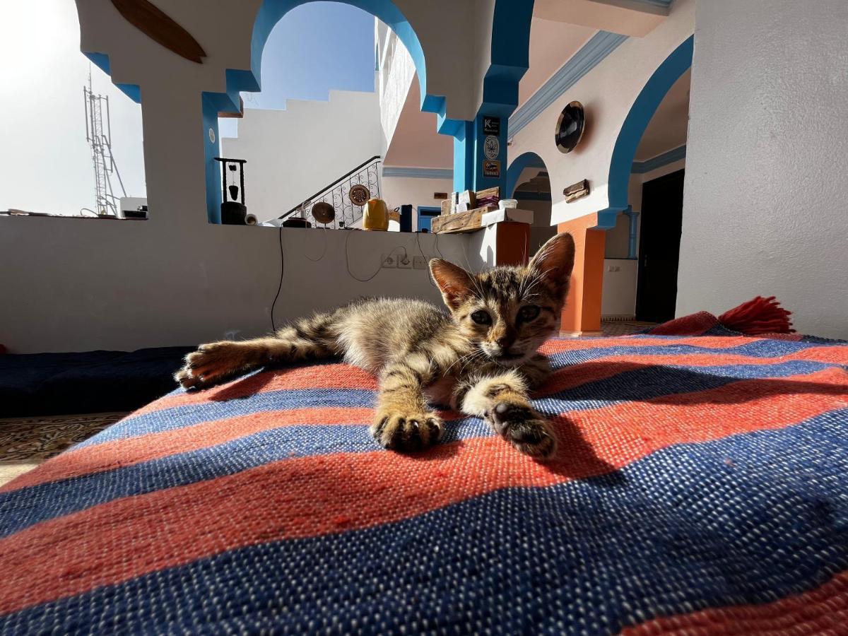 Binic Surf House Bed and Breakfast Taghazout Esterno foto